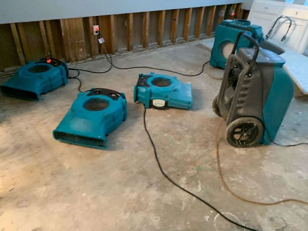 Water Damage Restoration services in Kasson, MN
